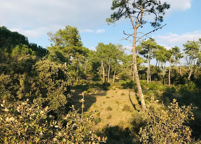 Appartamento Vue Ocean Imprenable, T2 De L'estacade